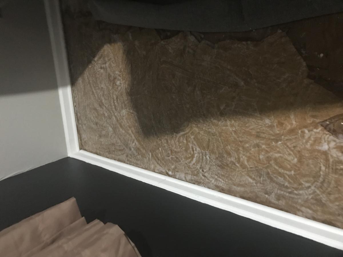 Back Bedroom Paper Bag Floor Drying