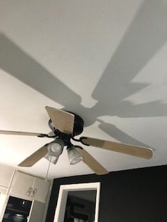 I even painted the Ceiling Fan!